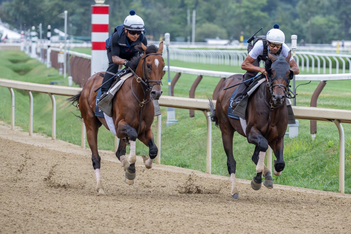 Erica Miller tweet media