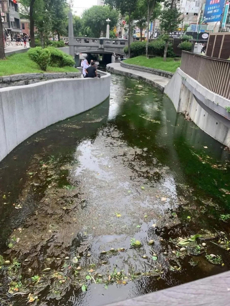 台中綠川，林佳龍時代預計將綠川打造成新盛綠川；結果盧媽媽直接把它變成發臭綠川。

林佳龍ㄧ上任就喊出「翻轉中區」，也看到林佳龍努力發展台中；結果盧媽媽上任直接「放棄中區」。

沒發展中區是鐵錚錚的事實，等著看看盧媽媽親衛兵什麼時候來出征。😡