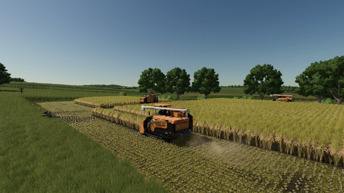 tamtam_farming's tweet image. 今日はいつもよりながーくマルチ鯖で配信しました(^^♪
米収穫２年目をタイミングよくやれました★
台数いたらあっという間！さすが皆さんプロですね
#FS25
#FarmingSimulator25
#マルチプレイ
#たむ豚
#たむマルチ