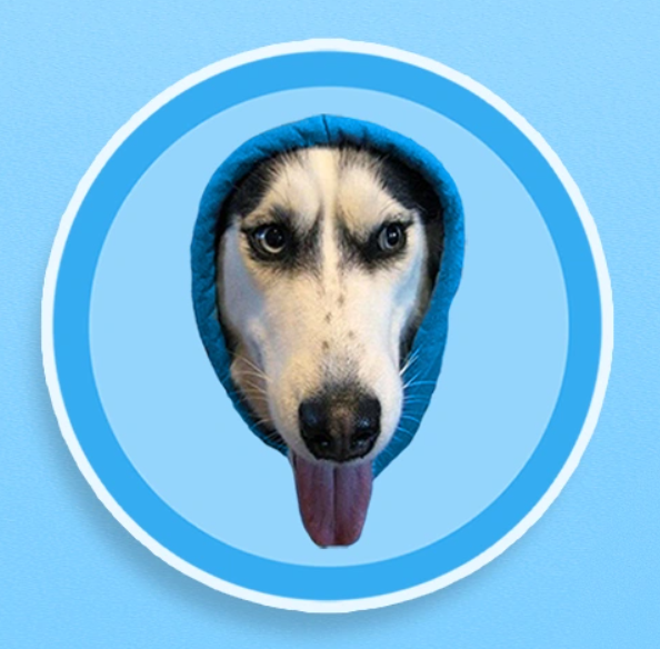 669Sol's tweet image. Durov's dog DOGWIFHOOD $WIF
