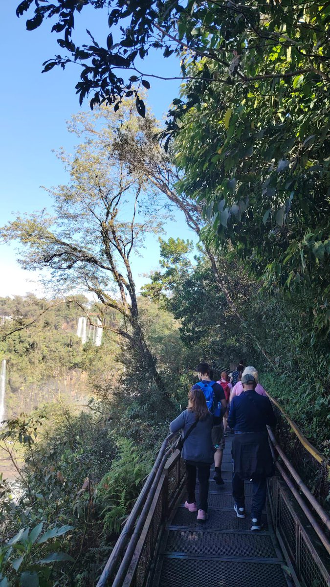 VisitIguazu's tweet photo. #IguazuEnInvierno Caminar en la selva y escuchar el sonido de las Cataratas es vivir la naturaleza en su máxima expresión. En Iguazú, cada paso es una experiencia única en cualquier época del año.

Más info en https://t.co/A2hmCJTsU5 o en IG @Visit_Iguazu https://t.co/gp6vbwu1sw