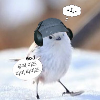 #새프로필사진