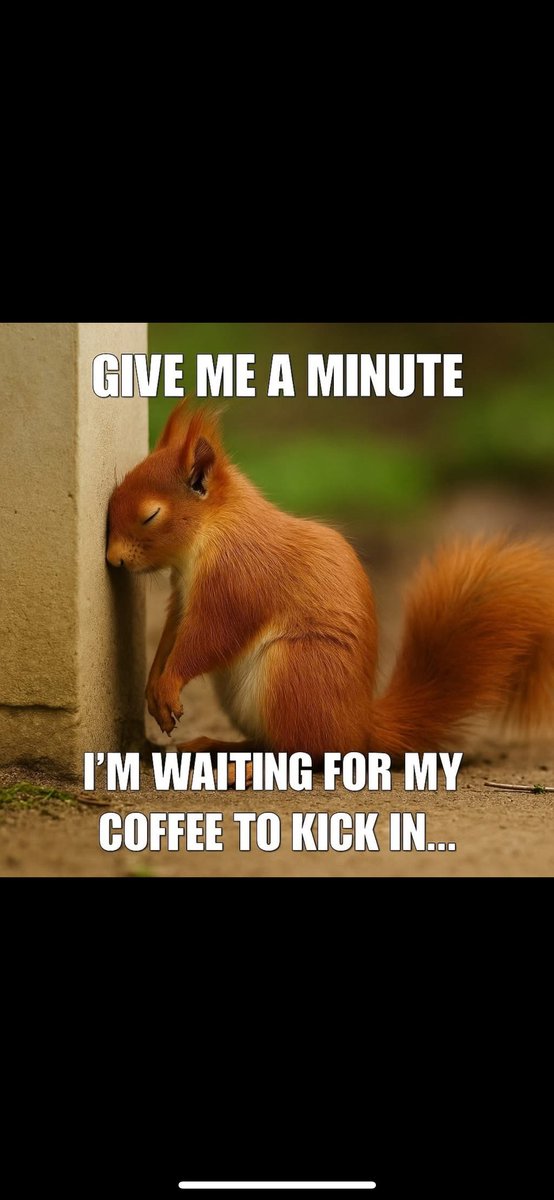 Heidi Phillips🌺 (@heidiplillips) on Twitter photo 