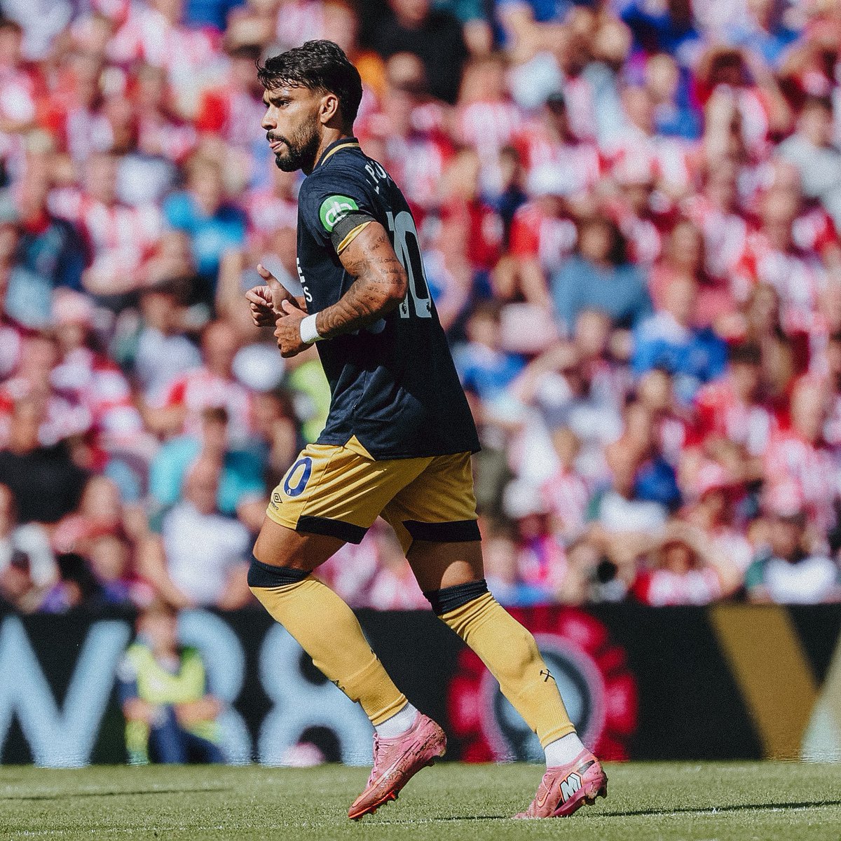 Nosso 🔟 brasileiro 🇧🇷