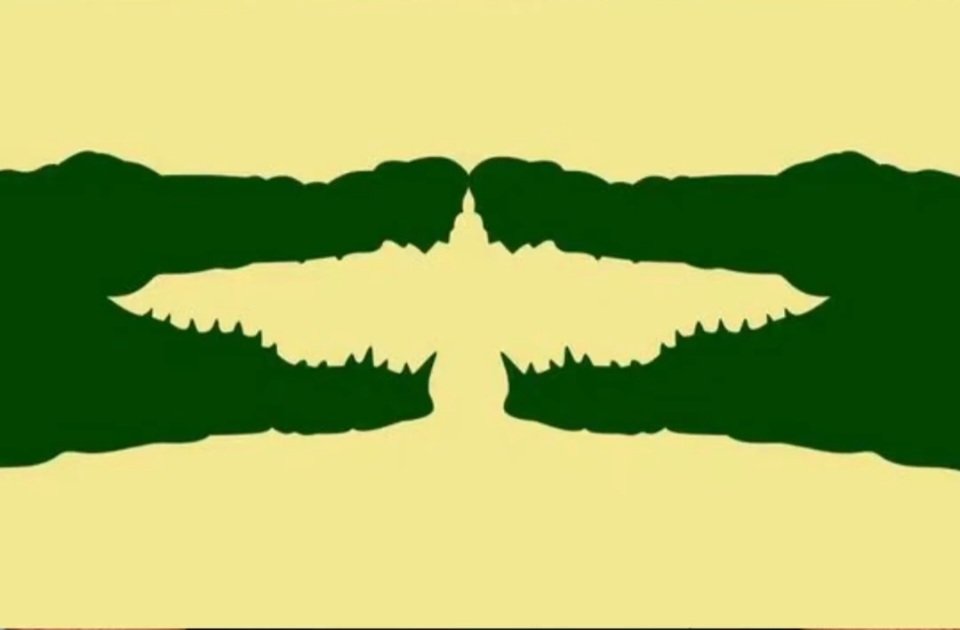 Nali🇺🇦💛💙 tweet media