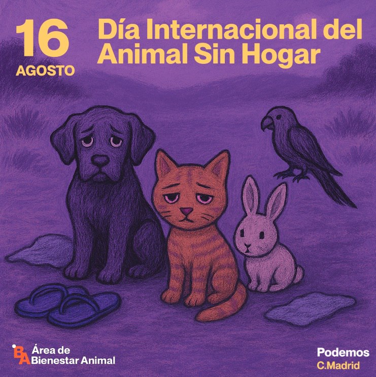 🐾 Aunque no tengan casa, familia ni voz, están ahí. Son muchos los animales sin hogar, invisibles pero tan dignos de amor y cuidados como cualquiera. Por ellos, por su futuro, por su derecho a vivir con dignidad.
#DíaDeLosAnimalesSinHogar #NiUnoMásEnLaCalle #ProtecciónAnimal