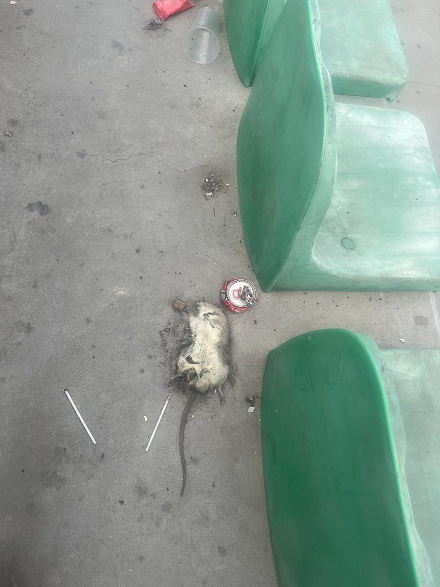 abarcaramiro's tweet photo. Cancha Las Almejas está inmunda  vinimos el miércoles pasado y la situación ya estaba así, ósea nadie hace aseo #Antofagasta https://t.co/cbYB2xXkEj