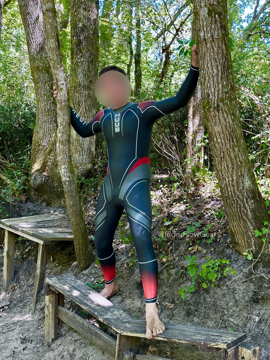 🌳👀🌳