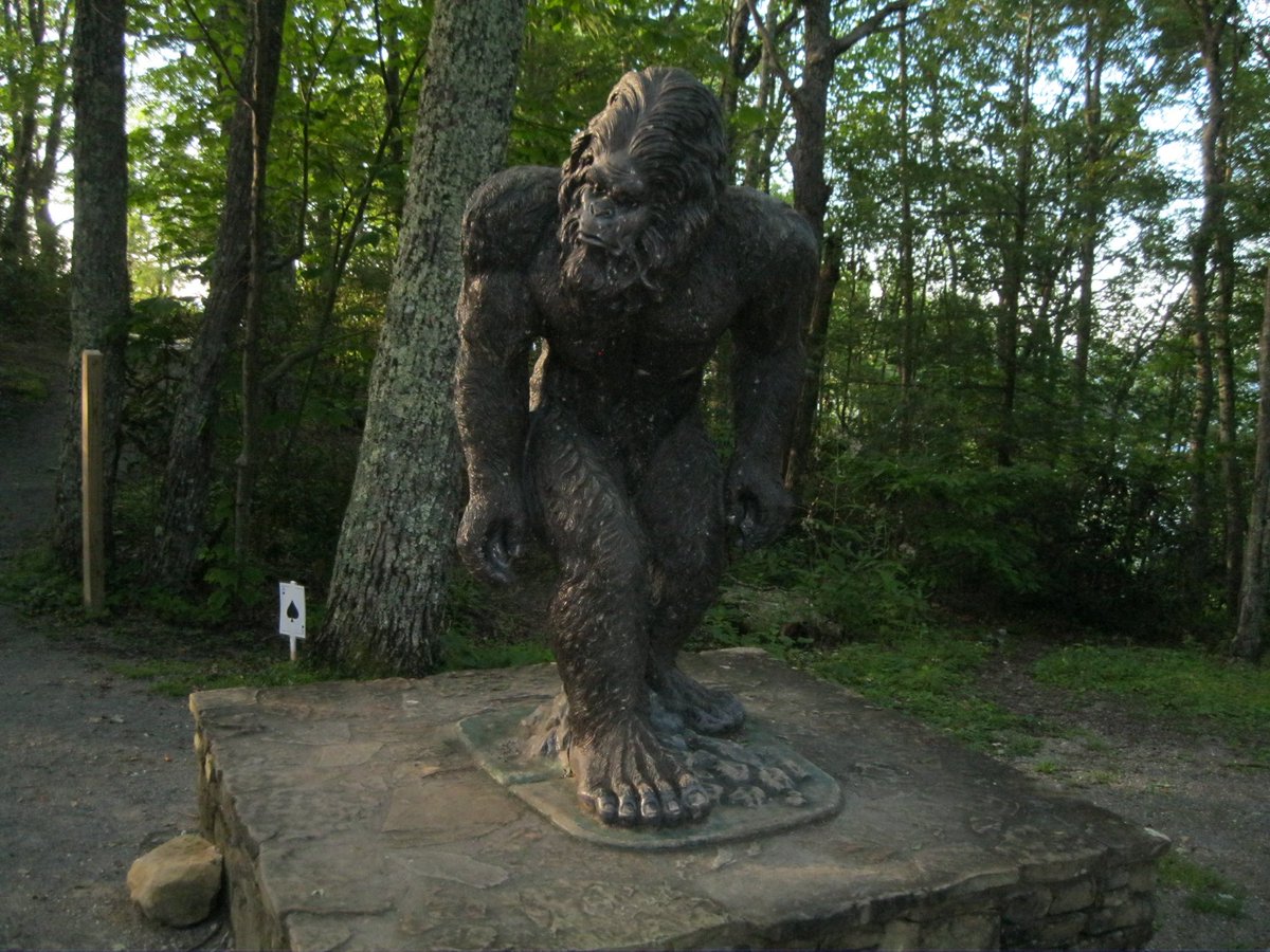 occultdetect86's tweet photo. Bigfoot hunt anyone??? https://t.co/j8bmOPhByj