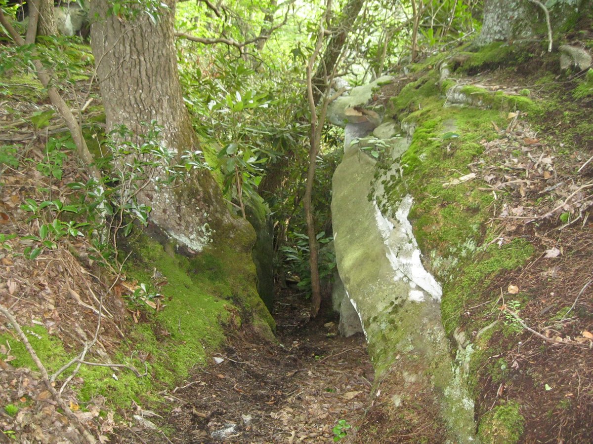 occultdetect86's tweet photo. No Bigfoot, but a beautiful place regardless https://t.co/IxWoQao4kl