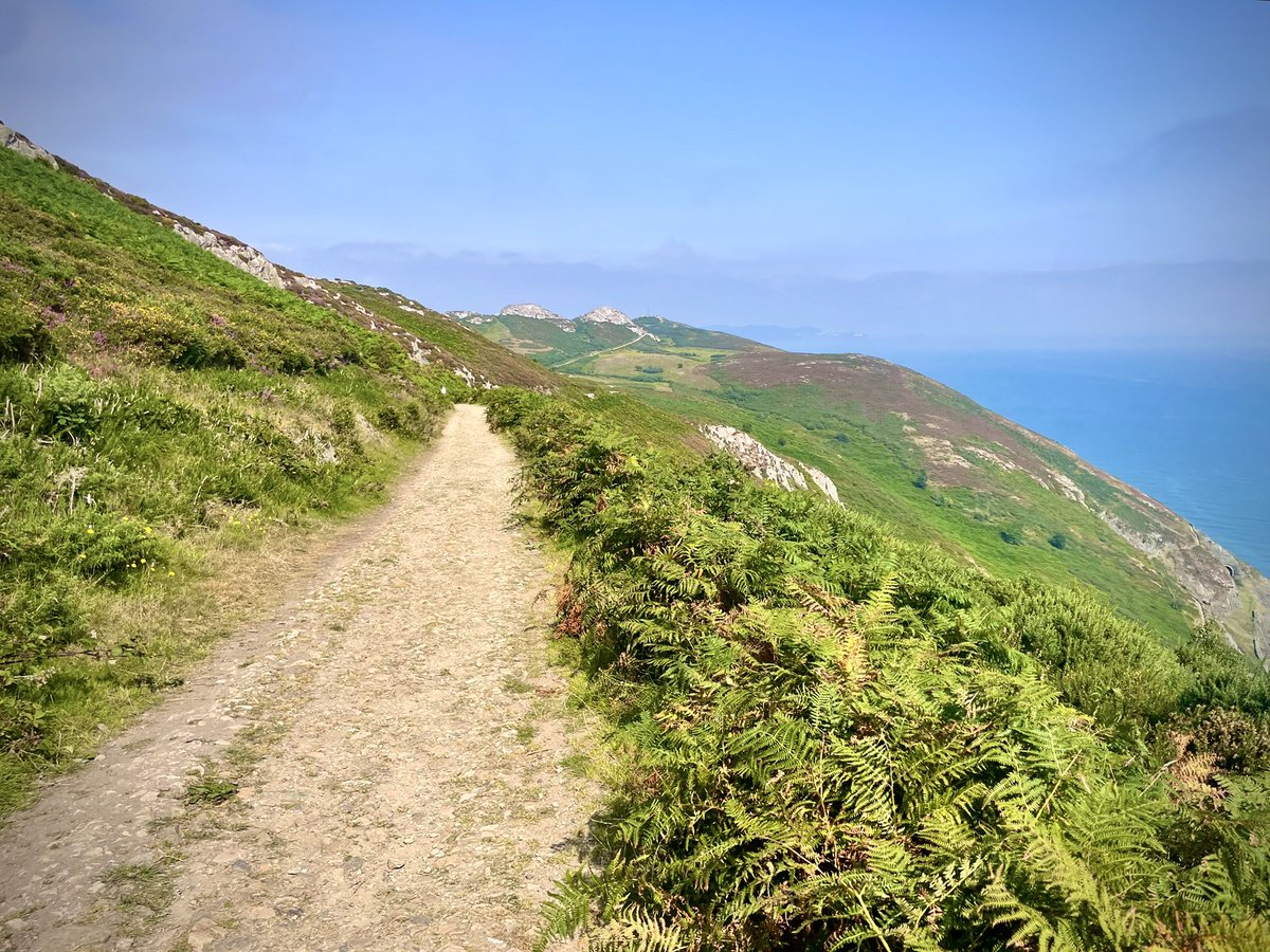 ACVDW's tweet image. 🏔️