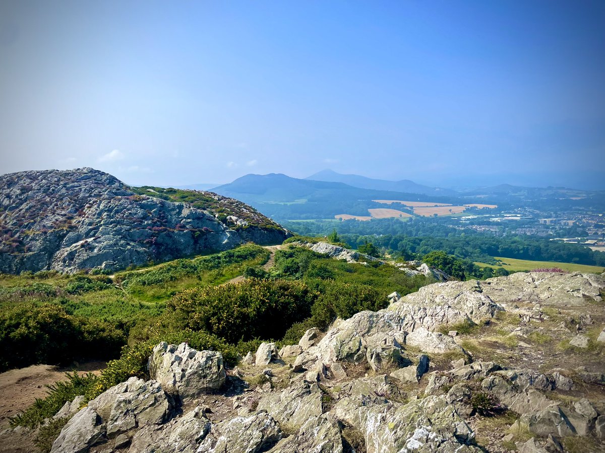 ACVDW's tweet image. 🏔️