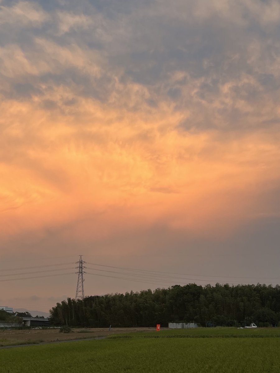 短いぼくの夏休みでした