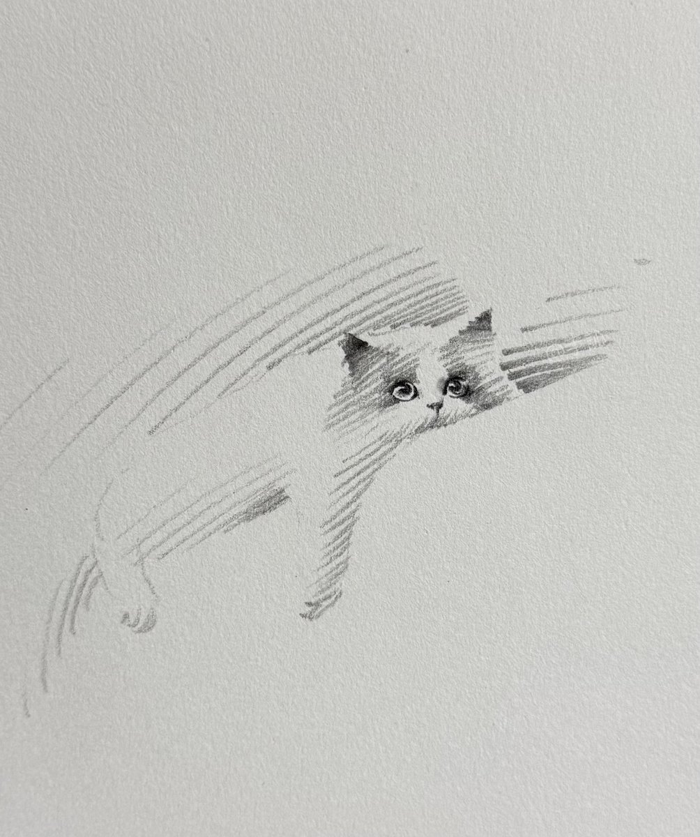 Latest sketches of kittens’ daily life — running, scratching, napping. A cozy weekend vibe.
#shouxinsketch #petart #animalart #illustrationartists #cat #pet #sketch #sketchdaily