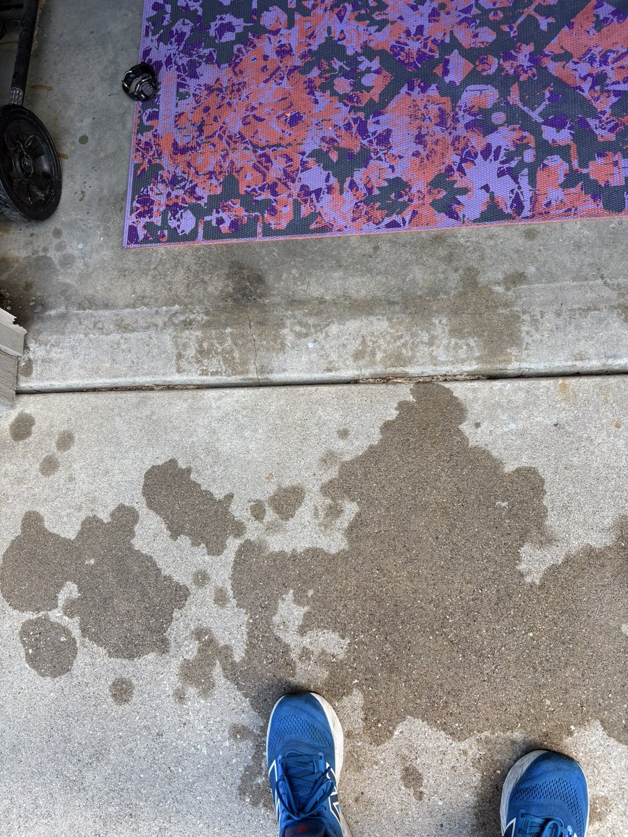 Alex Renchen (@alexrenchen) on Twitter photo Saturday morning Burpee challenge ✅ Saturday morning Burpee challenge ✅
