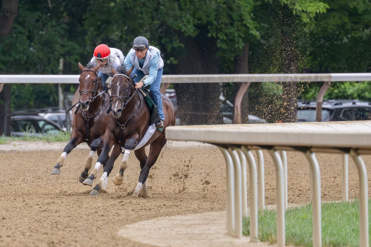 Erica Miller tweet media