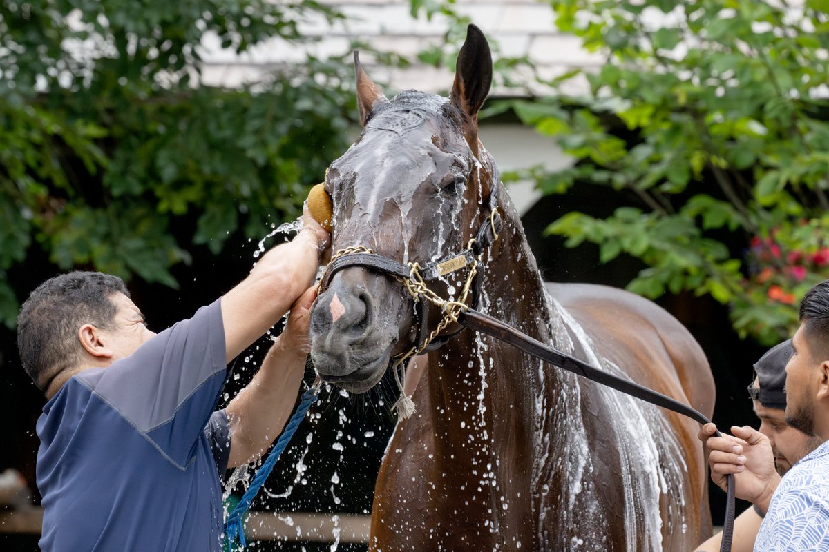 Erica Miller tweet media