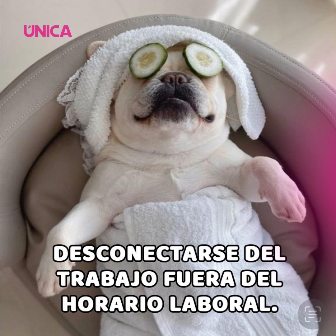 larevista_unica's tweet photo. 🐶💕 ¿Con cuál te identificas? 🤭
 
#revistaunica #puebla #metas2025 https://t.co/P04VC8Pu40