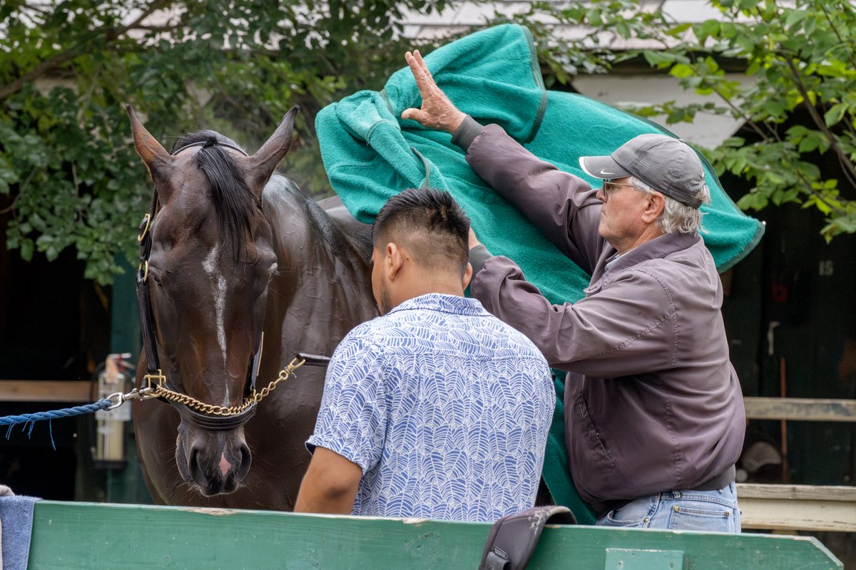 Erica Miller tweet media