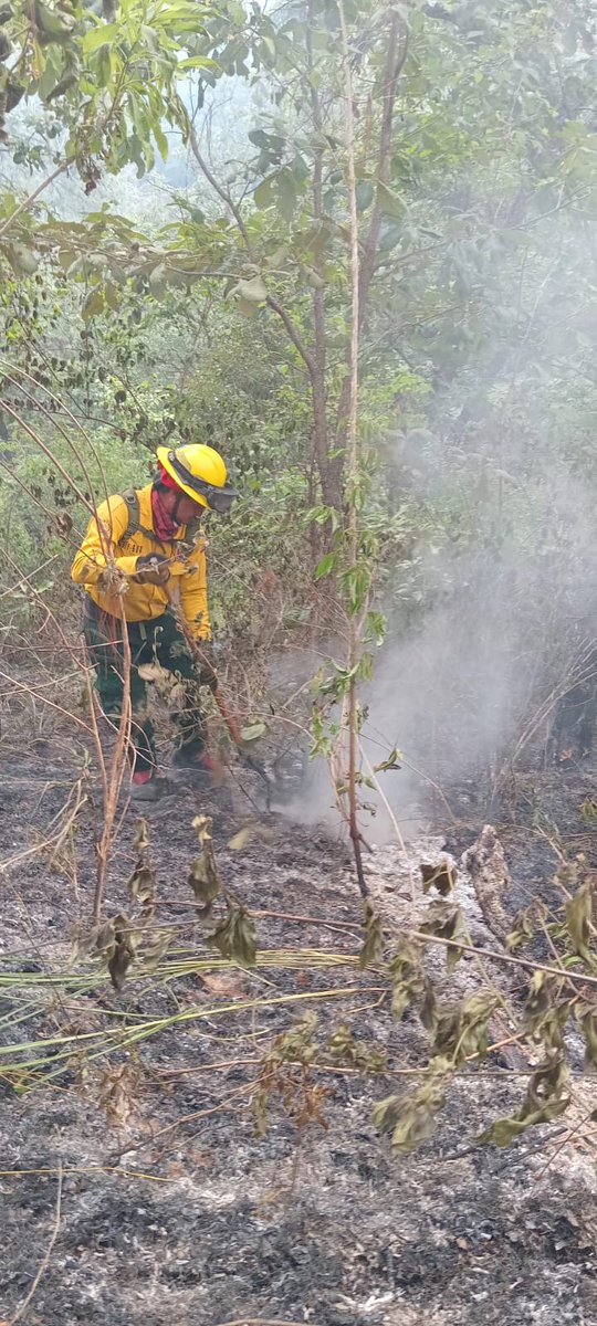 ConredGuatemala's tweet image. #ElProgreso En seguimiento al incendio registrado en aldea Piedra Blanca, San Cristóbal Acasaguastlán; Brigadistas de Respuesta Inmediata del Sistema CONRED continúan con las acciones de supresión en el área. 

Fotografías: Sistema CONRED