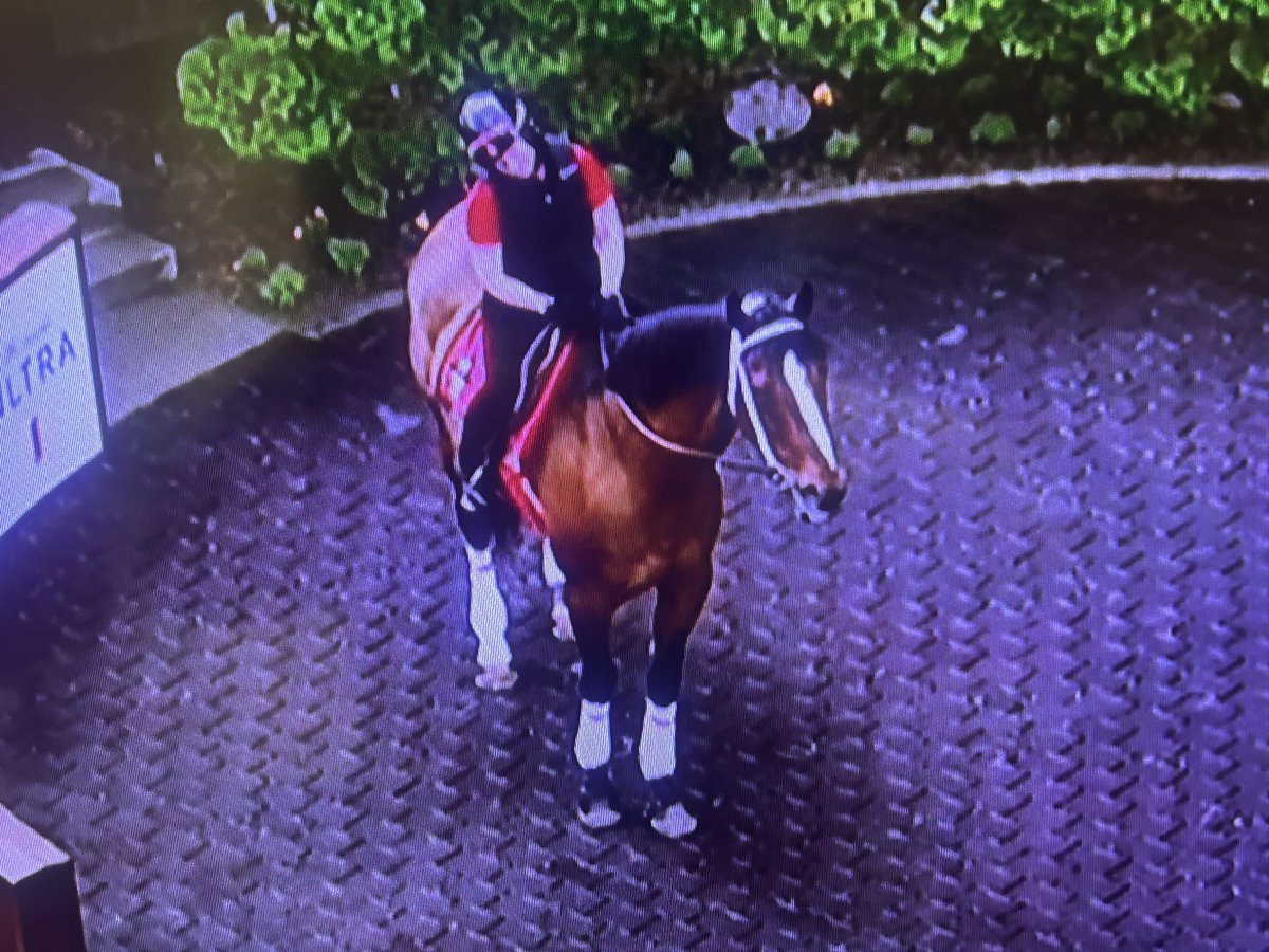 Vince Bruun (@vincebemerald) on Twitter photo In what has to be a racing first, 23-year-old Wasserman attended his own Hall of Fame ceremony before the races Saturday <a href="/EmeraldDowns/">Emerald Downs</a>. Regular rider Jennifer still gallops the horse daily. In what has to be a racing first, 23-year-old Wasserman attended his own Hall of Fame ceremony before the races Saturday <a href="/EmeraldDowns/">Emerald Downs</a>. Regular rider Jennifer still gallops the horse daily.