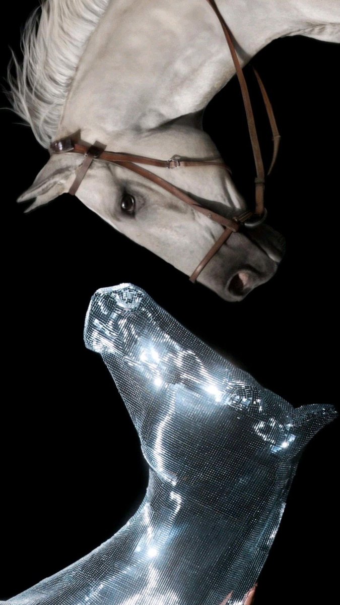 only beyoncé can make two horses absolute phenomenons