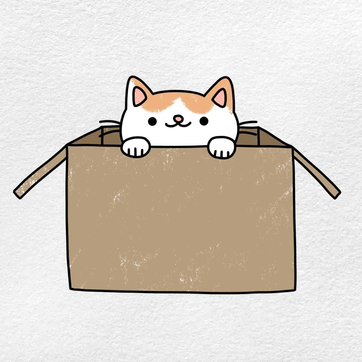Cat stay in a box 

#Catinbox the next Wif