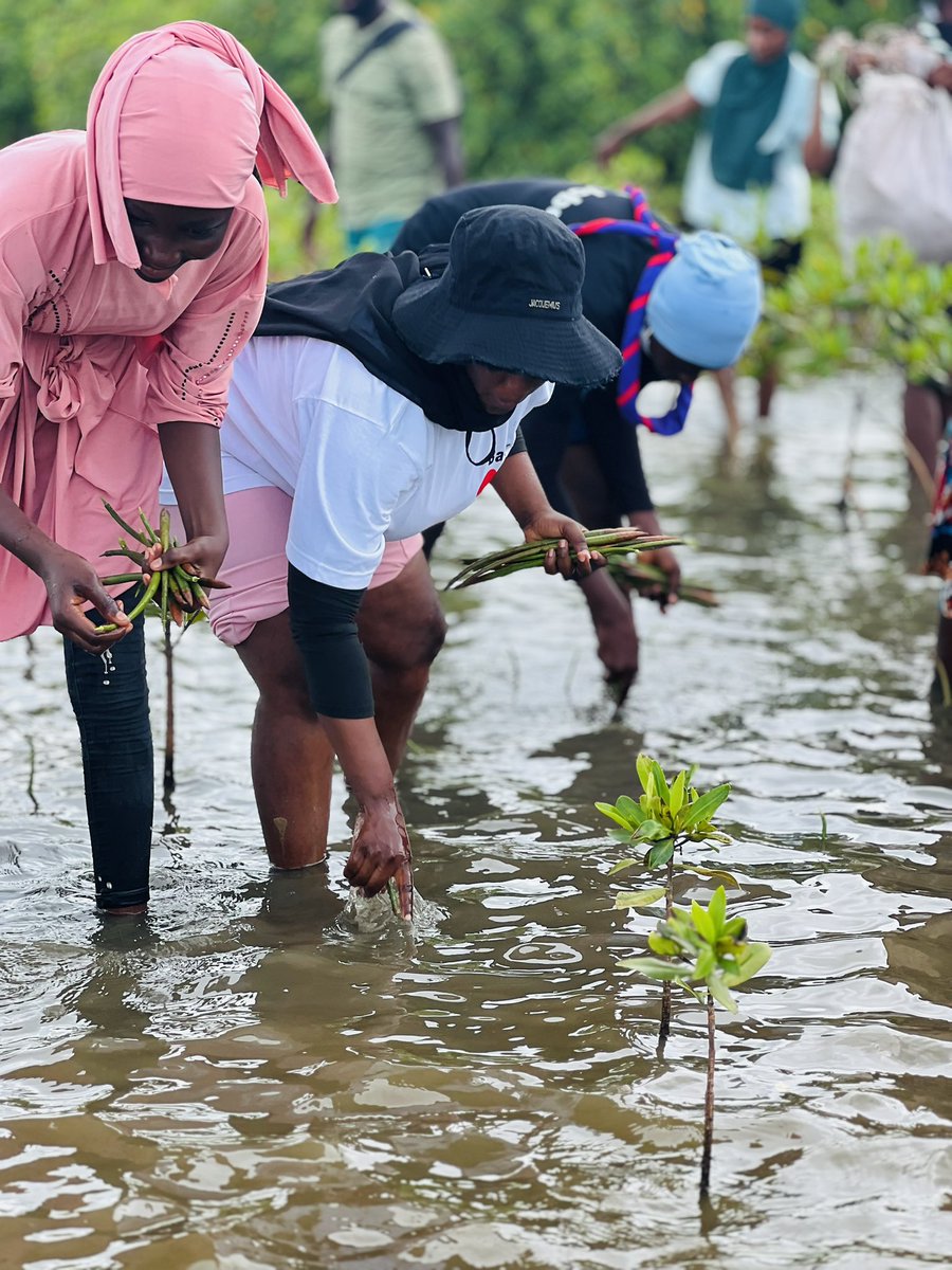 Raise The Young Foundation tweet media