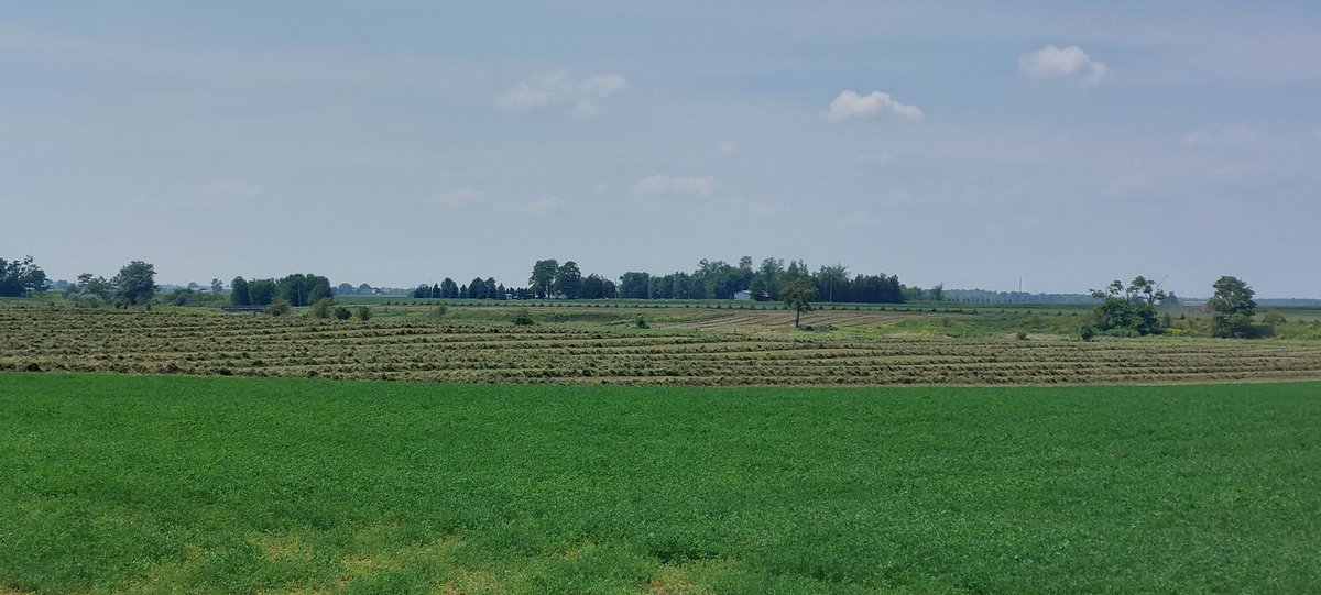 Dean Bauman tweet media