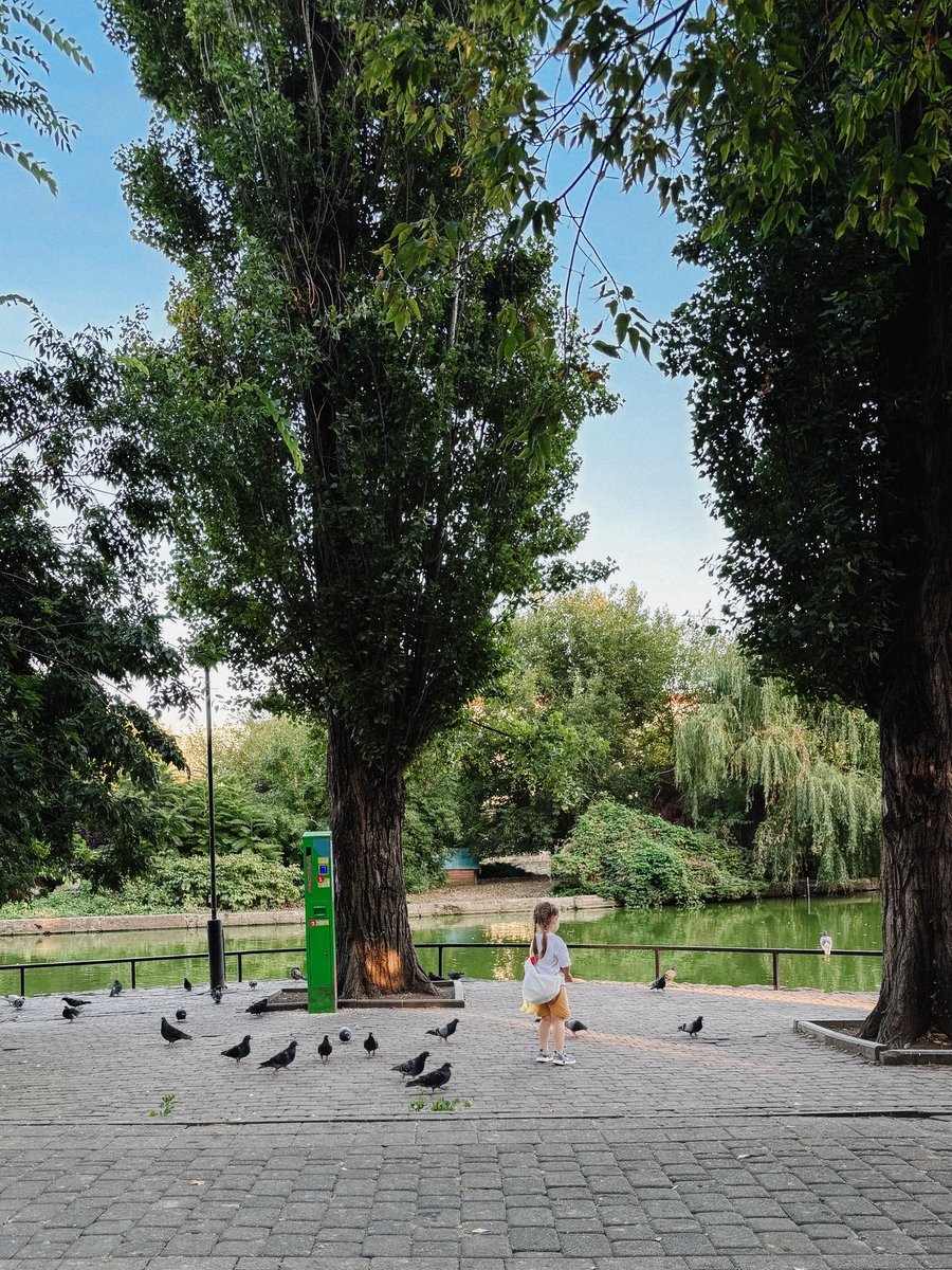 Выгуливала Эми в городском саду, ловила взгляды армянских дядек 40-50лет😅