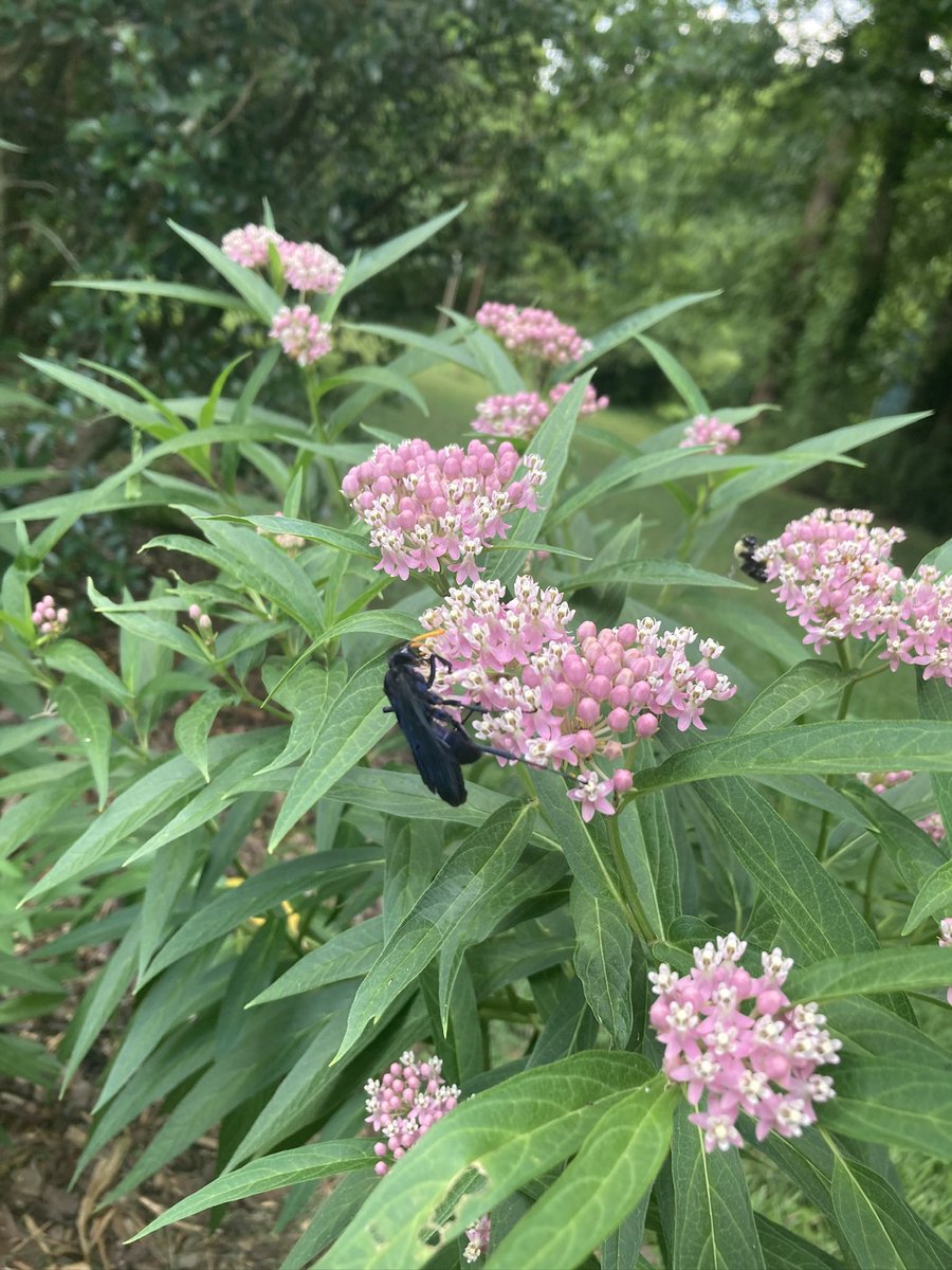 Corey Dunn tweet media