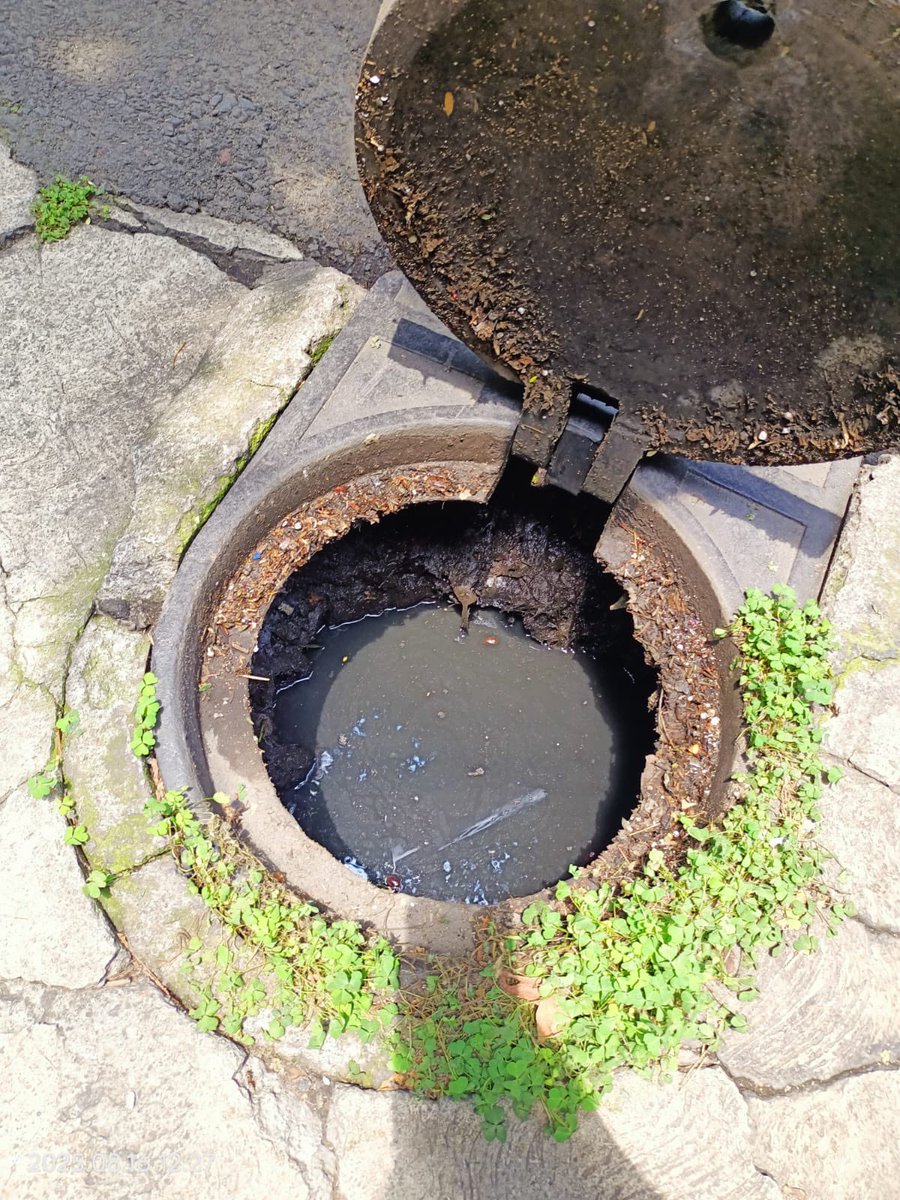 Cottamx50's tweet photo. URGENTE 🚨Calle Dakota 16, Nápoles, exigimos a @SEGIAGUA @SacmexC @BJAlcaldia @LuisMendozaBJ atención inmediata: drenaje COLAPSADO genera inundaciones y riesgos sanitarios que no pudimos resolver por ser de orden público.
Solicitamos DESAZOLVE URGENTE 
Evidencias 👇
#BenitoJuarez https://t.co/LP3mqxS353