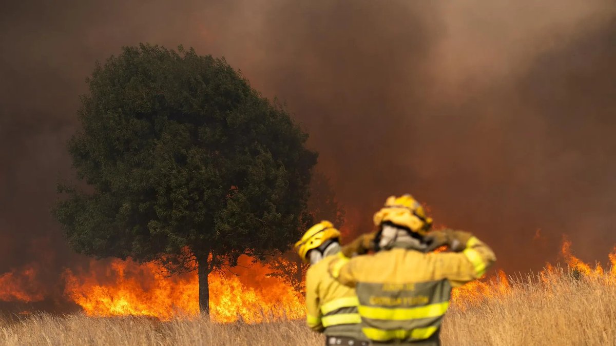 Desde Coalición por Melilla enviamos toda nuestra fuerza a Galicia, Castilla y León, Extremadura y demás zonas afectadas por los incendios. Miles de hectáreas arrasadas y familias evacuadas. Admiración y apoyo a los equipos de emergencia. 💚🔥 #UnidosContraElFuego