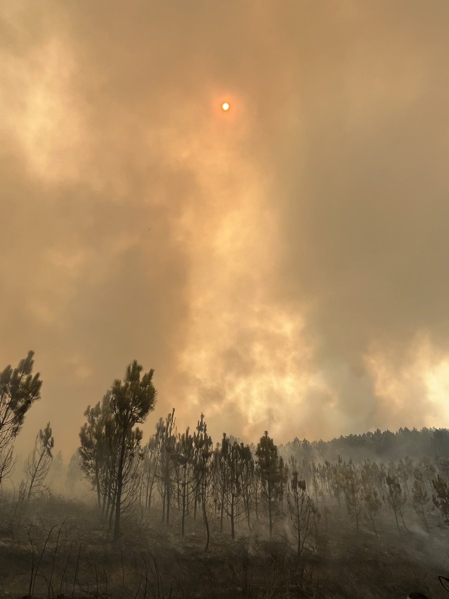 Cruzar la provincia de Ourense es cruzar una zona de guerra. Columnas de humo hasta el horizonte, el cielo blanco encapotado escondiendo el sol pequeñito y naranja, ceniza suspendida en el aire como mosquitos, permanente olor a quemado desde la mañana hasta la noche.