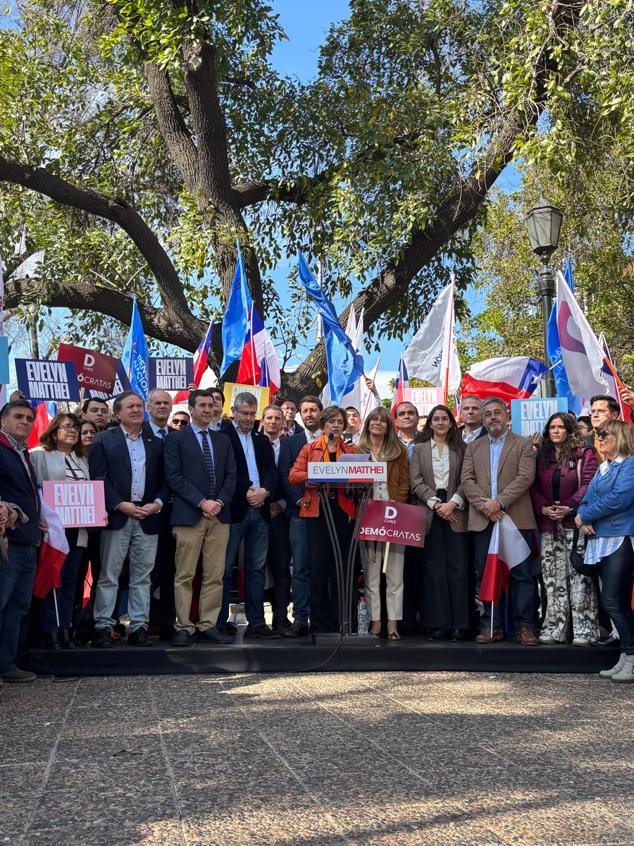 Amarillos tweet media