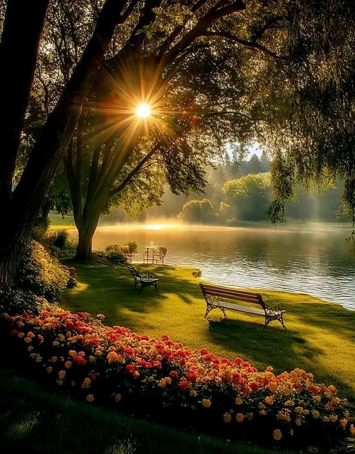 <a href="/sami86pilang/">🇮🇩🐯𝐋𝐞𝐚𝐝𝐞𝐫'𝐬🐯🇮🇩</a> <a href="/RPrima789/">🆙✩࿐ 🅱️🅿️riⓂ️a777 🇲🇨</a> <a href="/VDieyo24431/">vannia aurora</a> <a href="/KaredokLeunca__/">JEPRET ! KARET NA 2,LADA!🔥</a> <a href="/D3wandaru/">Dewandaru</a> <a href="/HafiadhA/">Hafiadh Ali</a> <a href="/NisaAdi/">Nisa</a> <a href="/arikprJFS/">🇵🇸arikprJFS🇮🇩</a> <a href="/inaya8905130905/">inaya</a> <a href="/kn_jui/">Bakht Zada🇵🇰f💯</a> <a href="/amtknp/">عالمی مجلس تحفظ ختم نبوت🇵🇰</a> <a href="/rita01059367/">rita</a> <a href="/Sami86PilangEko/">Eko cahyo Putro</a> IFB