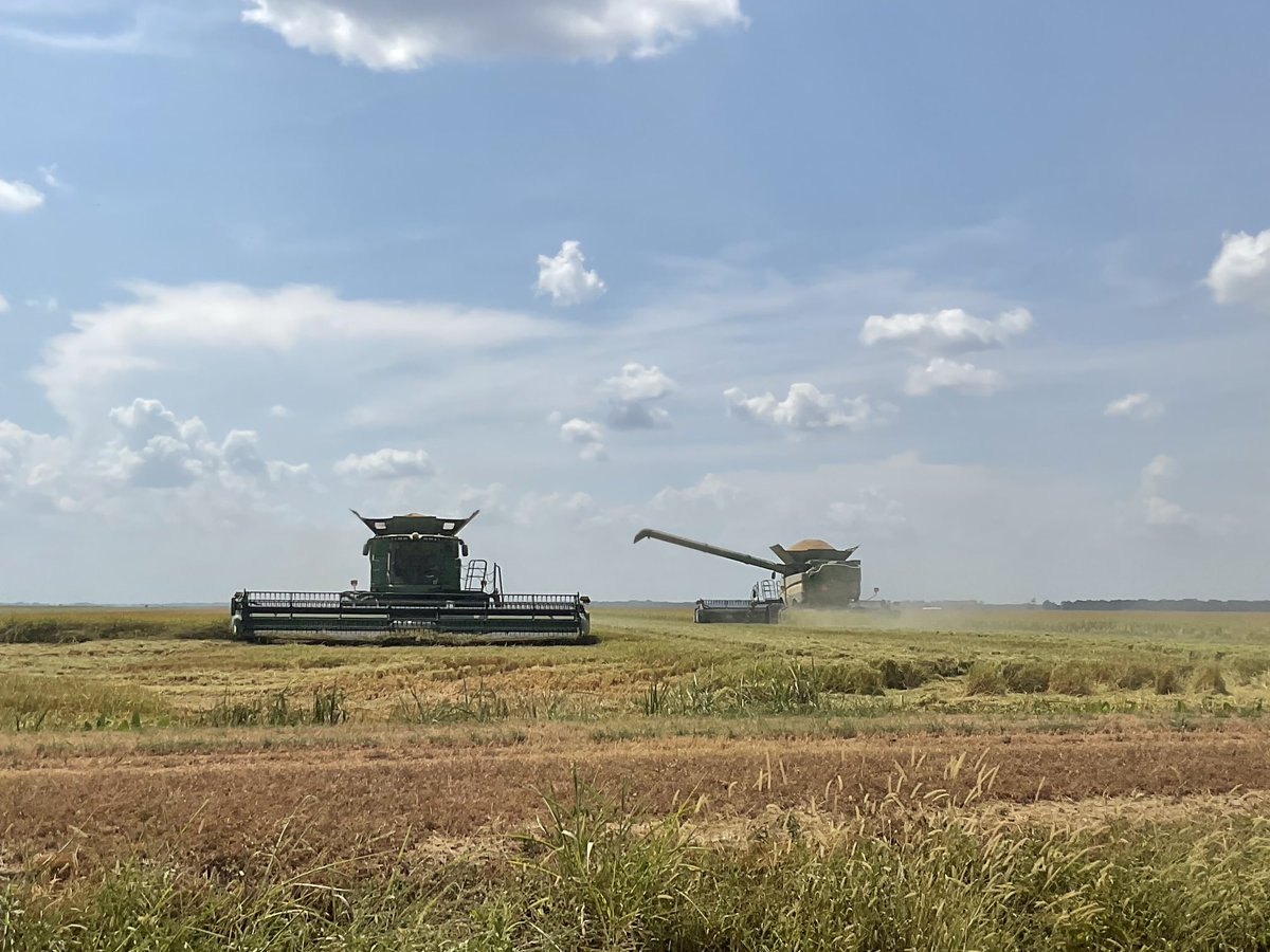 LarryColeman4's tweet photo. Rice cutting time at Wabash https://t.co/Ve0Ht1ElMQ