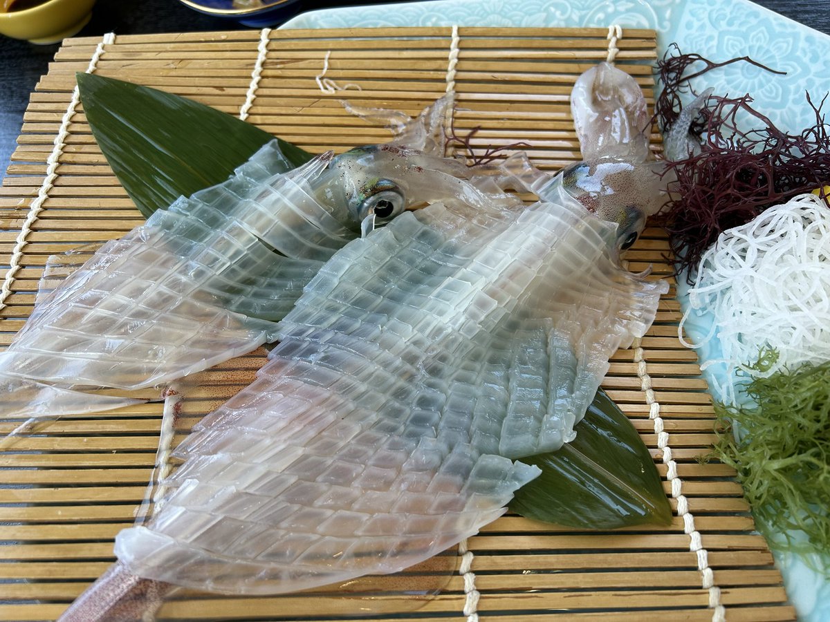 moeken1223's tweet photo. イカって白くないねんで🙄透き通った透明🥹自分が裁かれた事も分からず胴体うごいてた🙃IN呼子 https://t.co/W9iSXr0KaH