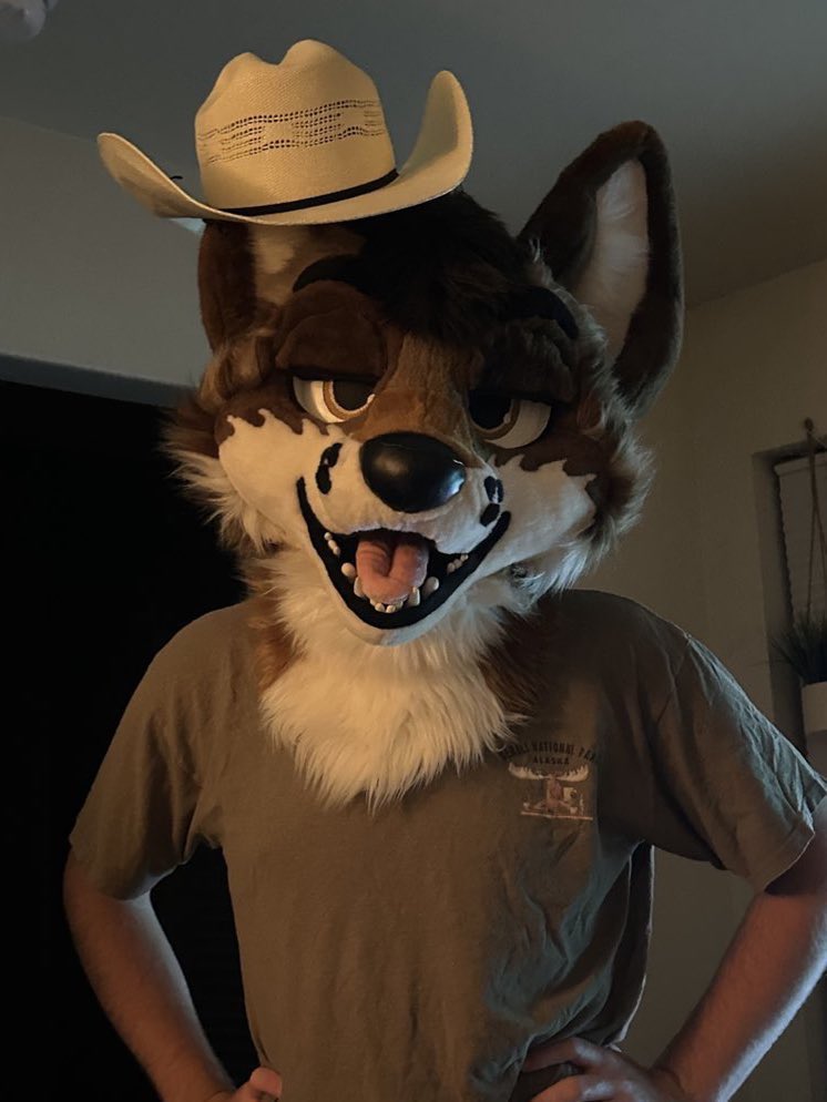 lookacoyote's tweet photo. Need a cowboy hat that’ll fit with these big yapper ears… https://t.co/kesU2YJXjJ