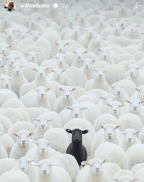 deniz (@dnizblack) on Twitter photo 