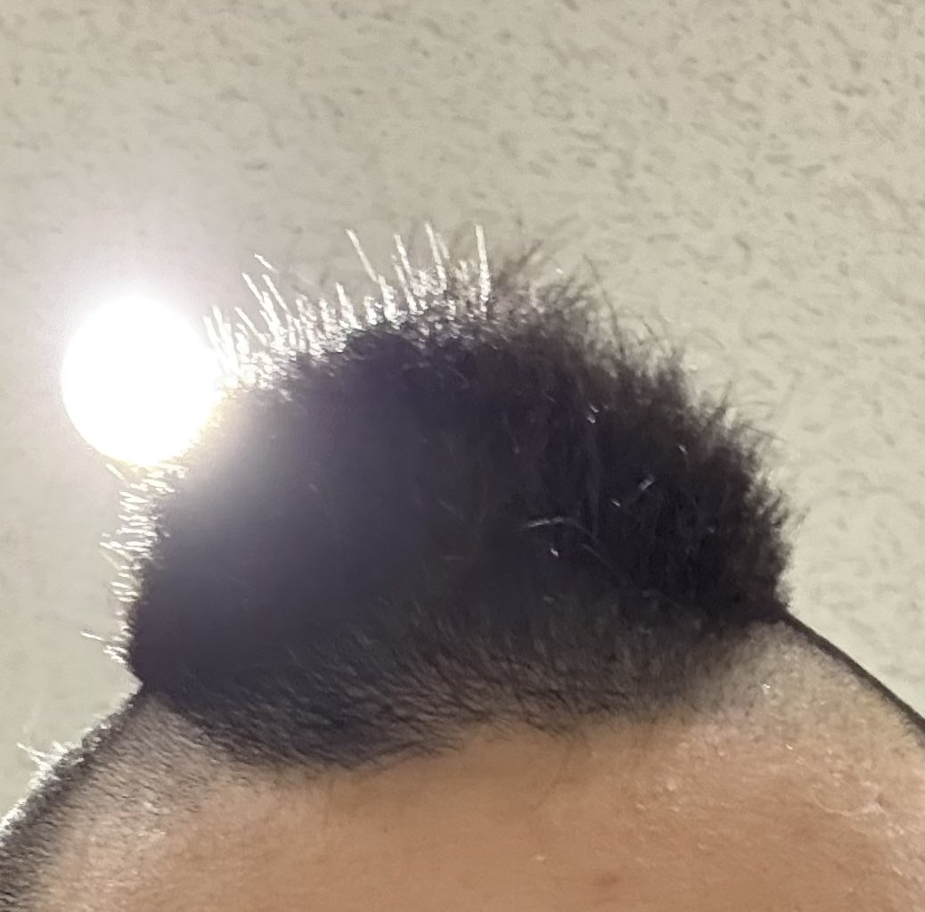 これがコミケに現れる😅😅😅