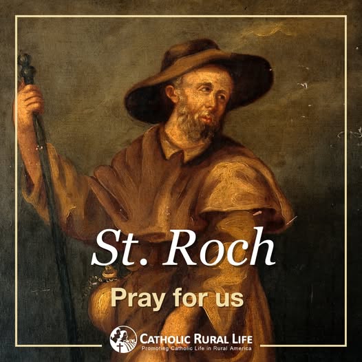 Happy Feast of St. Roch, Patron Saint of Dogs!

St. Roch was known for his deep charity. During the Black Plague, he tirelessly cared for the sick until he himself became ill. Isolated and near death, help came in the most unexpected way: a dog began visiting him each day,
