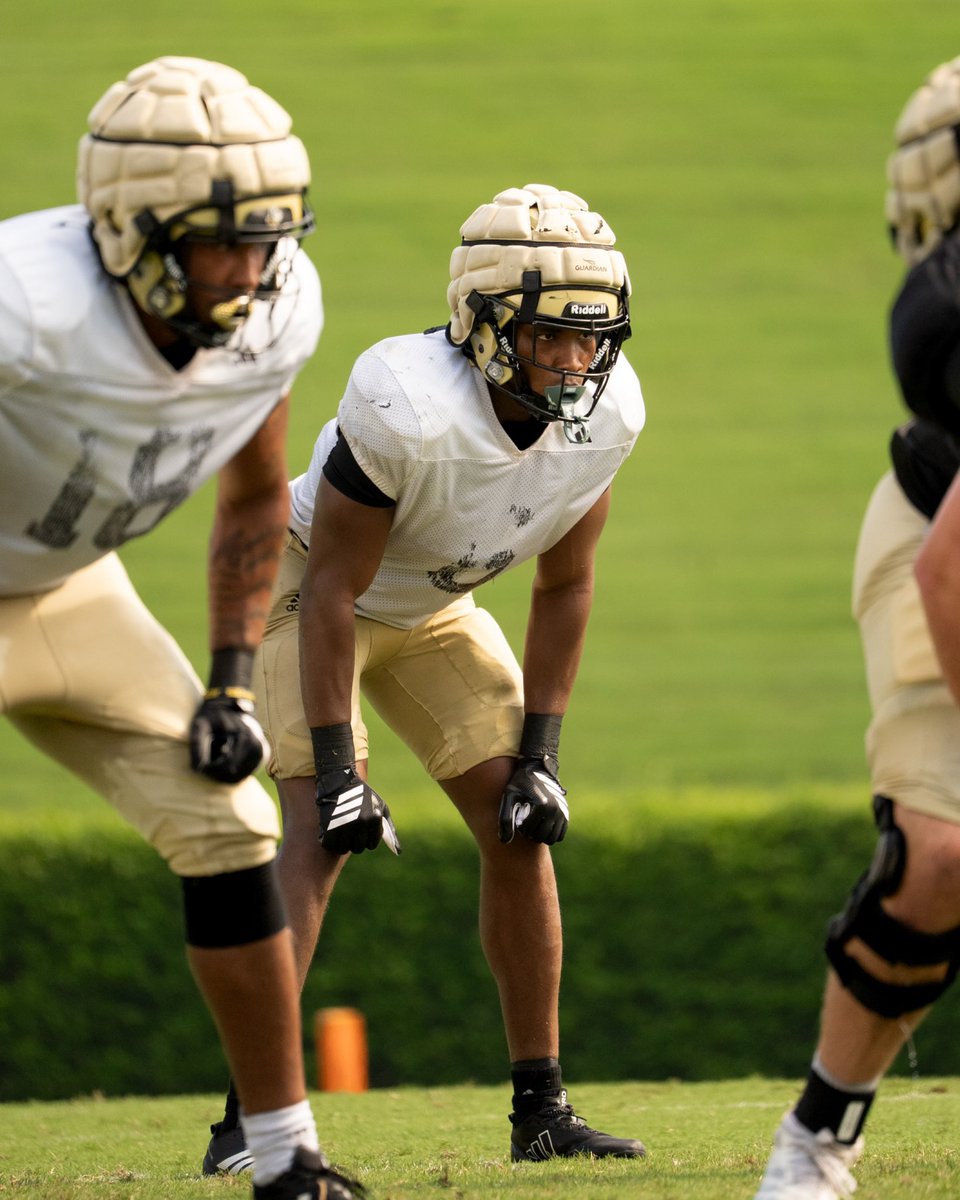 Wofford Football tweet media