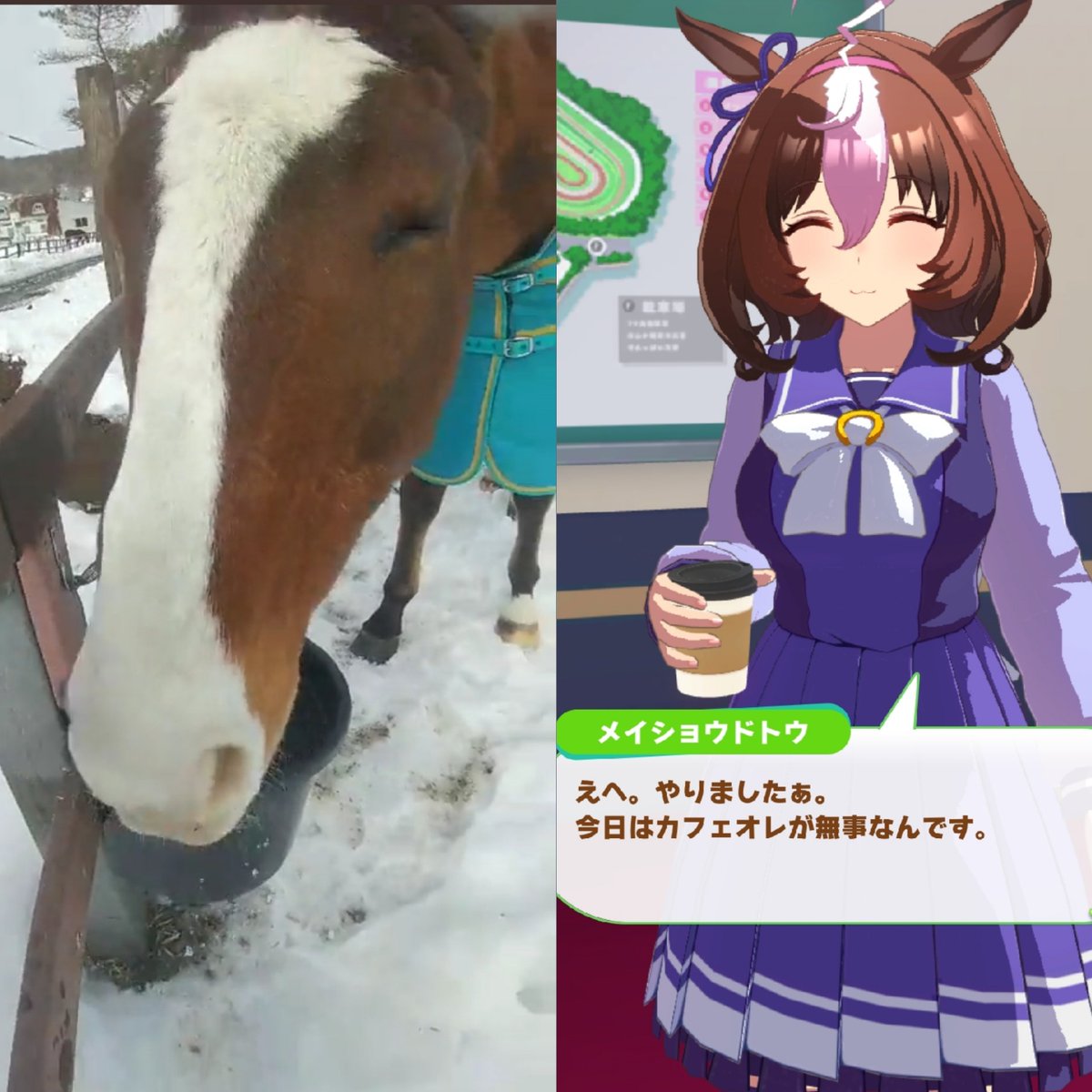 Zoo Military Official (@crack_inhaler) on Twitter photo 