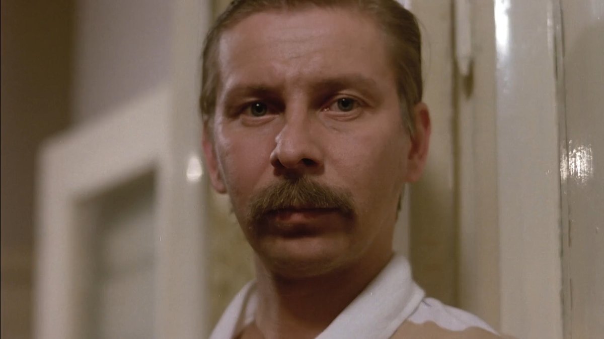 🎥 'Shadows in Paradise' (Aki Kaurismäki, 1986).