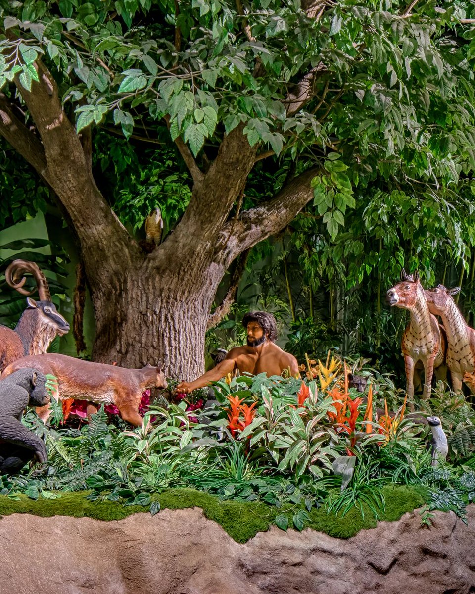 What do you think Adam and Eve’s first thoughts were when they saw creation?