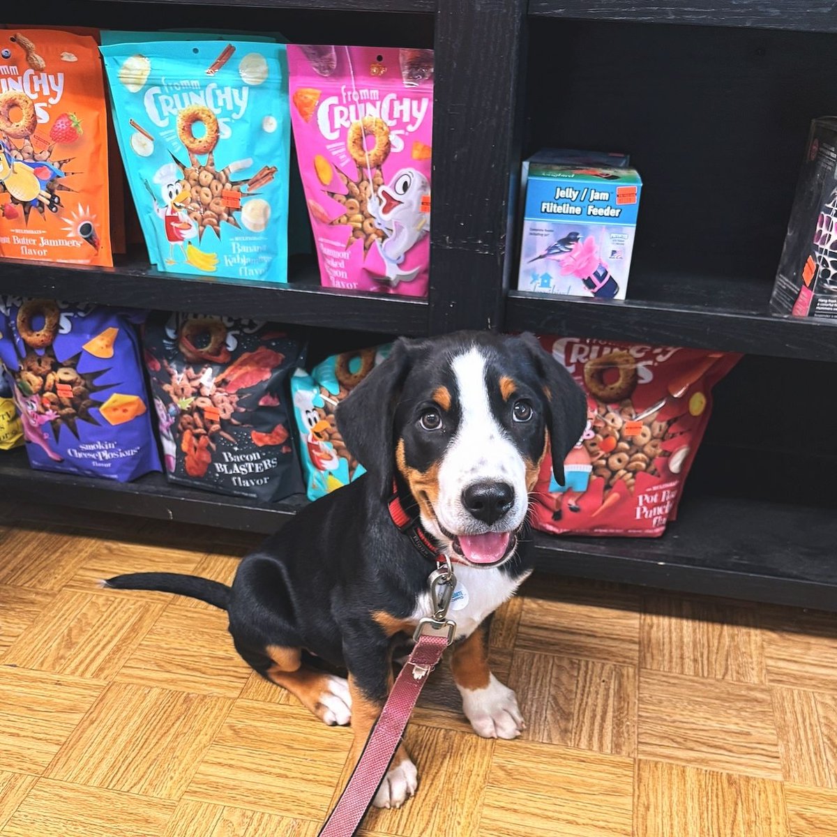 Happy Howie's Natural Dog Treats tweet media