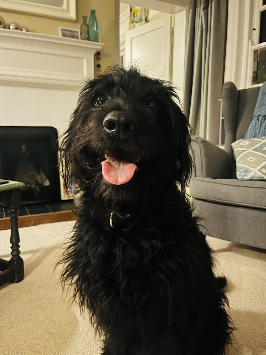 this special guy!