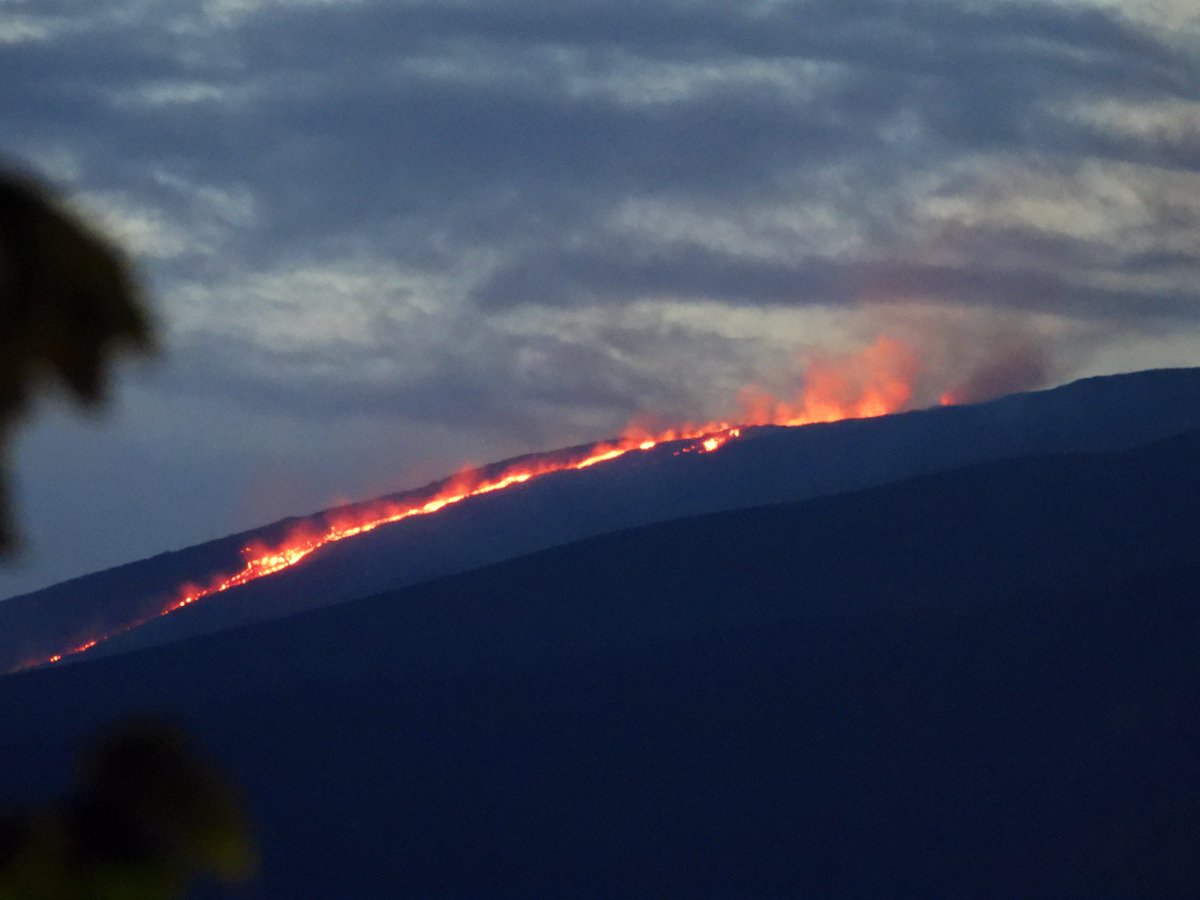 Boris Behncke tweet media