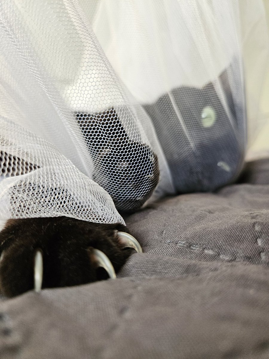 Москитная сетка. Плюсы: защищает от комаров. Минусы: ее нужно защищать от кощков.